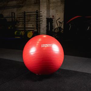 Купить Гимнастический мяч Yousteel Hard 55см в Чадане 