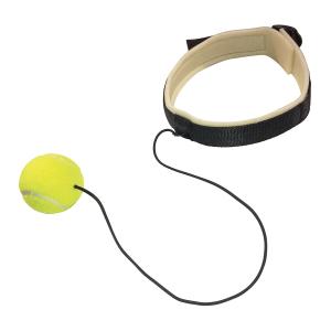 Купить Эспандер боевой мяч Fight Ball в Чадане 